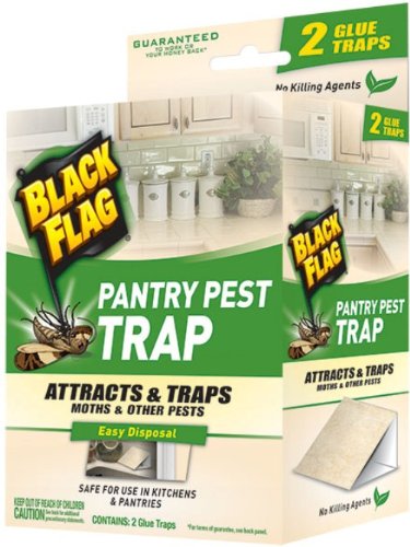 BLACK FLAG Fly Paper Indoor/Outdoor Insect Trap (4-Pack) in the